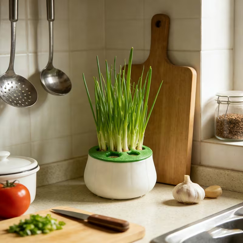 Green Onion Regeneration Plant - 3D Printing Online avaliação e preço